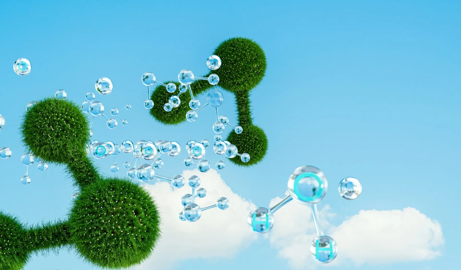 Shaping a Sustainable Future